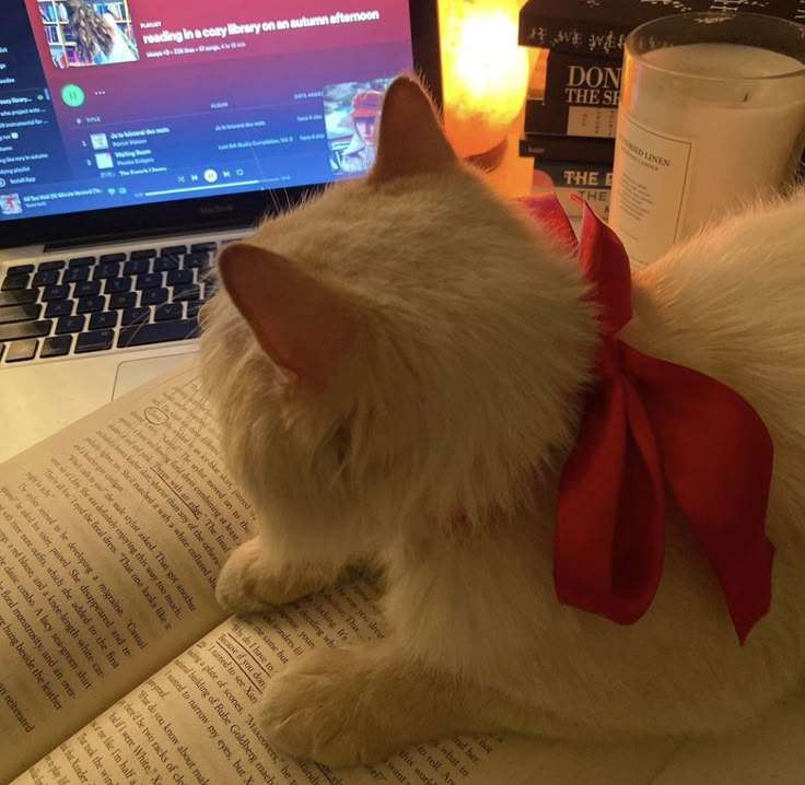 a white cat wearing a red bow sitting on top of an open book in front of a laptop computer