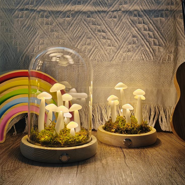 two glass domes filled with mushrooms and moss on top of a wooden table next to a rainbow