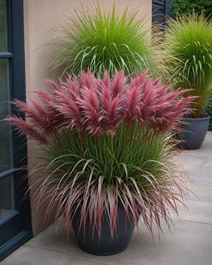 two large potted plants sitting next to each other on a cement floor near a building