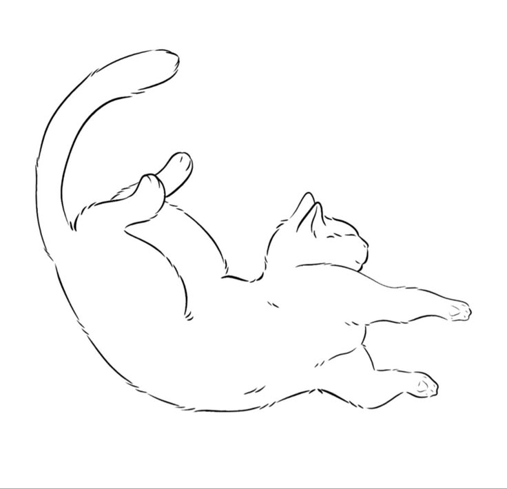 a black and white drawing of a cat laying on it's back with its paw in the air