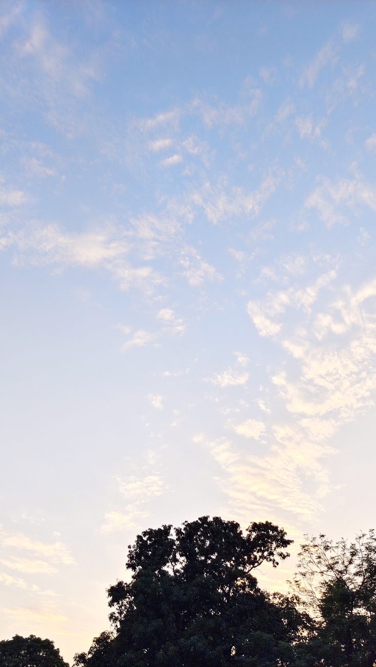 an airplane is flying high in the sky above some trees and grass at sunset or dawn