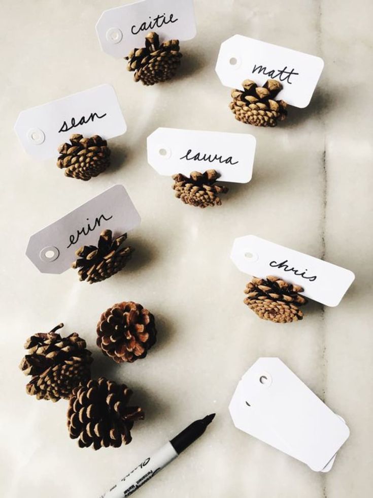 pine cones with name tags on them sitting on a table