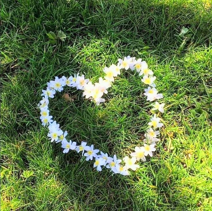 a heart made out of white flowers in the grass