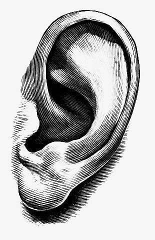 an ear is shown in this black and white drawing by artist mark mcroe