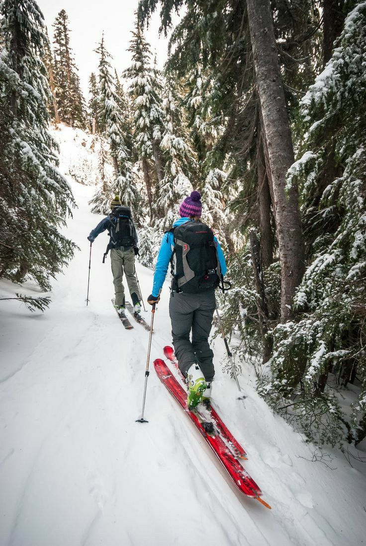 two cross country skiers make their way through the snow - covered woods on skis