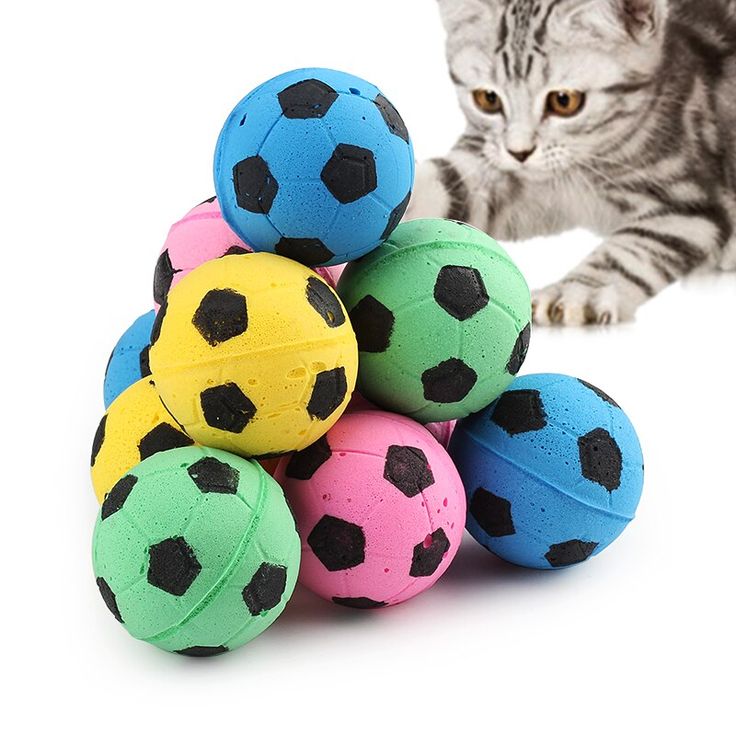 a cat is looking at a pile of colorful balls