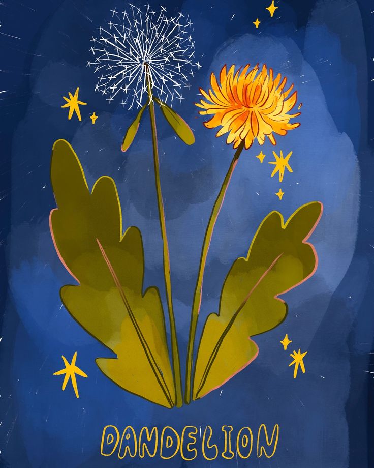 a dandelion flower with the word dandelion written below it on a blue background