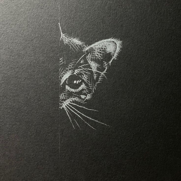 a drawing of a cat's face on black paper