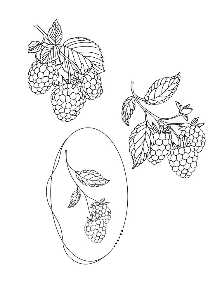 two raspberries on a branch with leaves and berries in the background, one is black and white