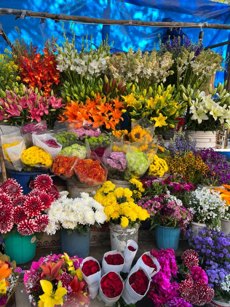 many different colored flowers are on display for sale