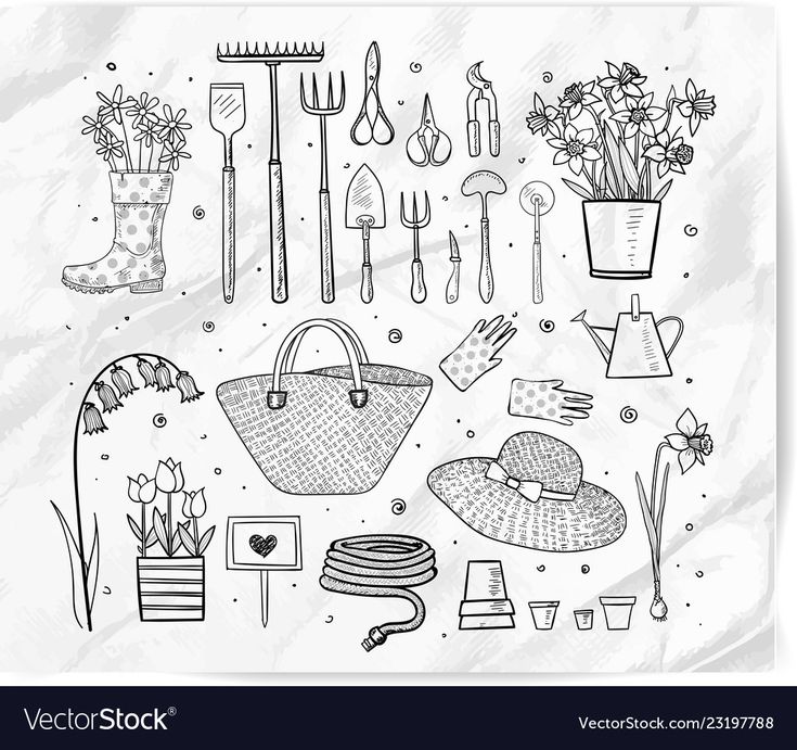 gardening tools and flowers on a white background