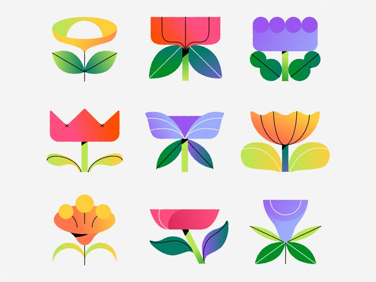 colorful flowers are arranged in the shape of different shapes