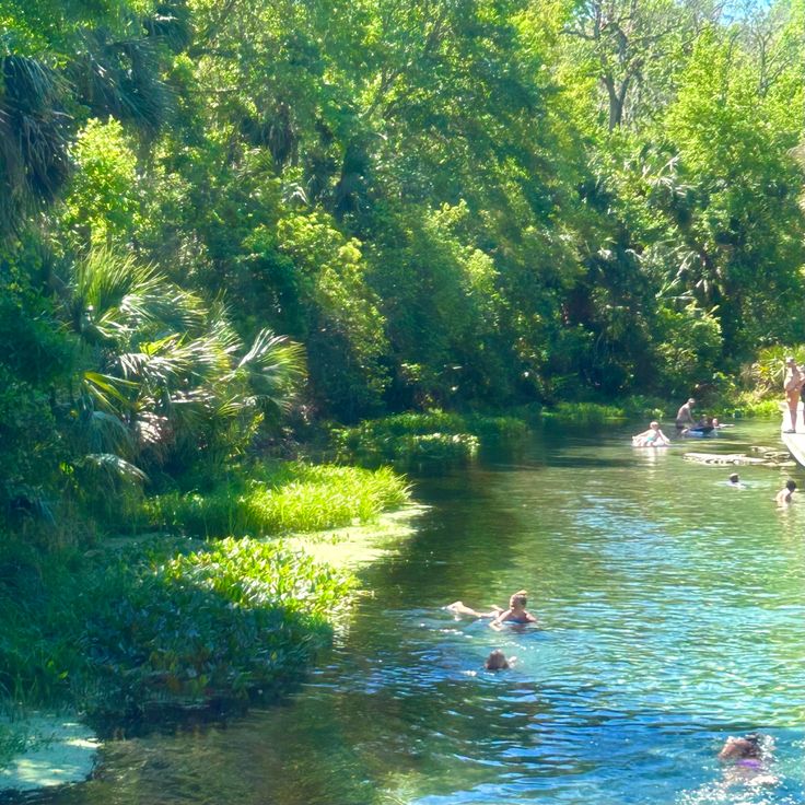 people are swimming in the river surrounded by trees