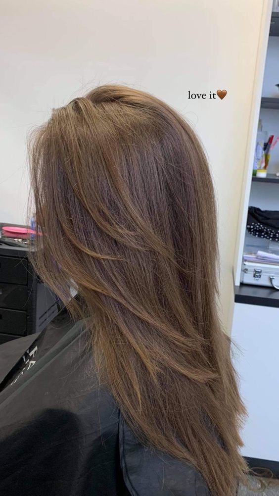 Hair Trim With Layers, Brunette Layers Medium Length, Face Framing Layers Medium Length Hair Straight, Layered Hair On Straight Hair, 90s Layered Hair Long Brunette, Simple Layered Hair, Layered Haircuts For Straight Hair, Straight Layers, V Cut Hair