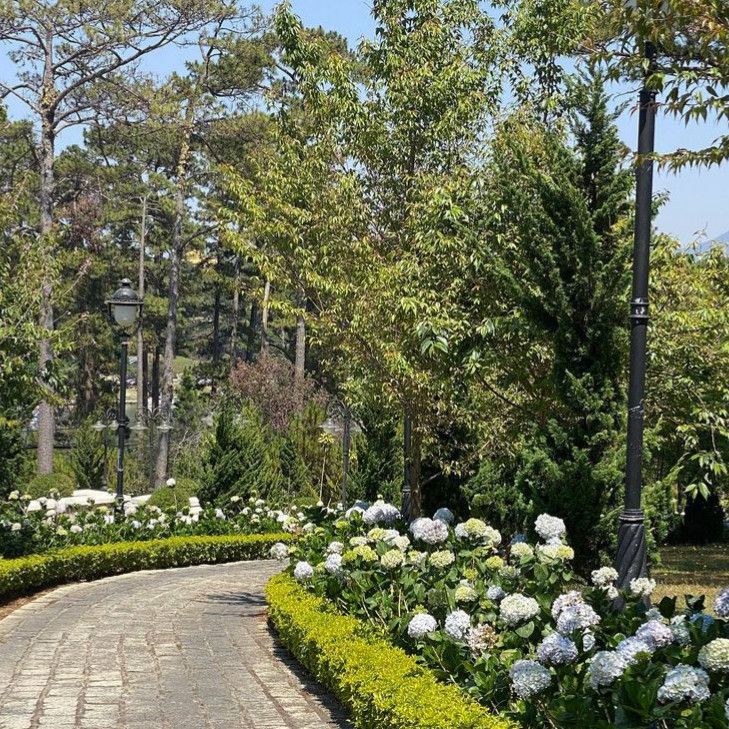 a stone path surrounded by white flowers and greenery with trees in the back ground