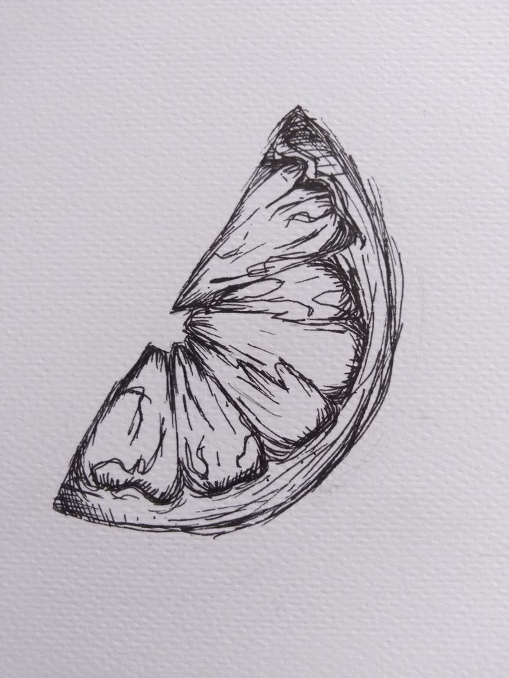 a drawing of a butterfly sitting on top of a piece of fruit