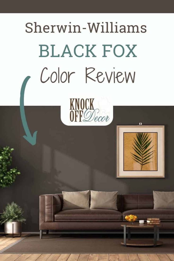 sw-blck-fox-pin Black Fox Bedroom, Brown Fox Sherwin Williams, Sherwin Williams Black Brown Paint, Best Brown Black Paint Color, Black Fox Paint Sherwin Williams, Black Fox Sherwin Williams Bedroom, Brownish Black Paint Color, Blackish Brown Paint Color, Blackfox Sherwin Williams