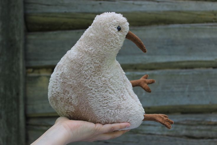 a hand holding a stuffed bird in front of a wooden wall with peeling paint on it