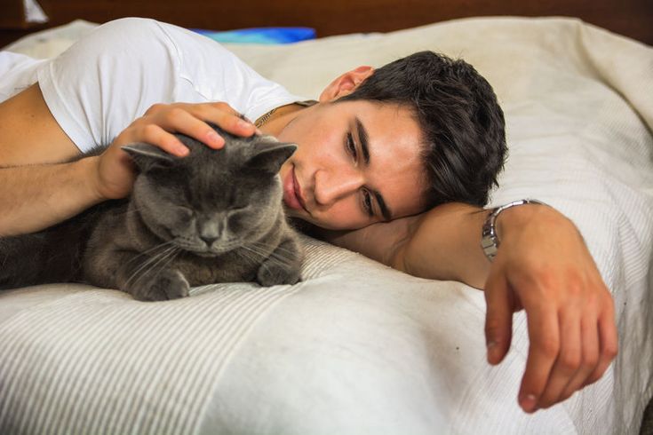 a man laying in bed next to a gray cat