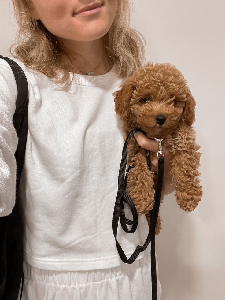 a woman holding a small brown dog in her hand and wearing a white dress with black straps