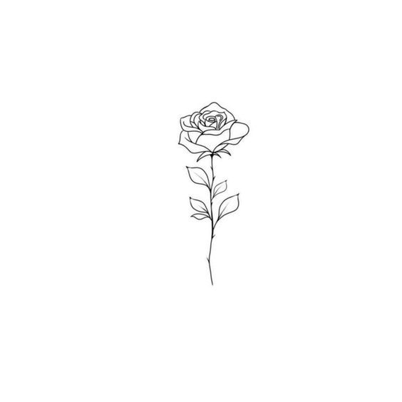 a single rose is shown in the middle of a line art drawing, with leaves on it