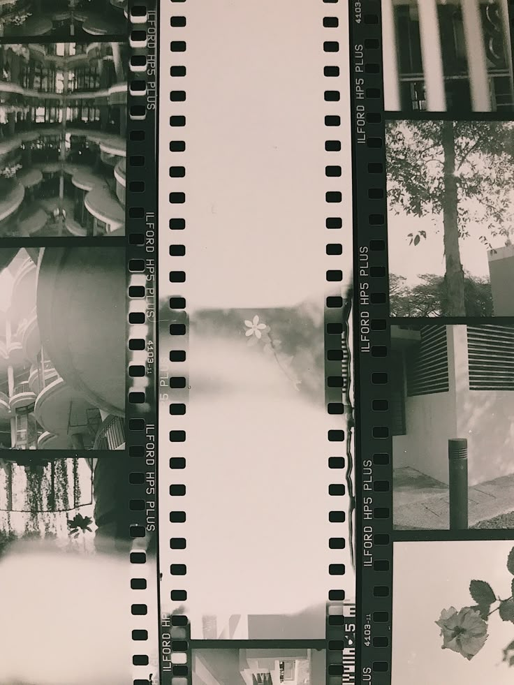 multiple film strips are stacked together in front of a tree and building with many windows