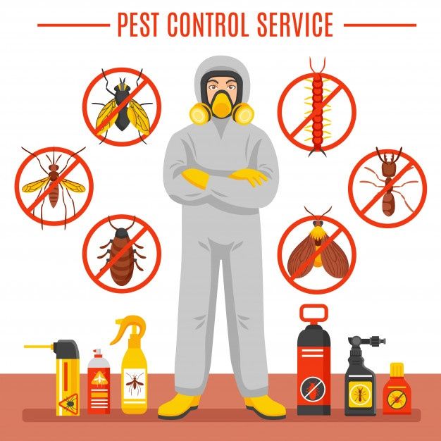 a pest control worker standing in front of various pests and insecticides around him