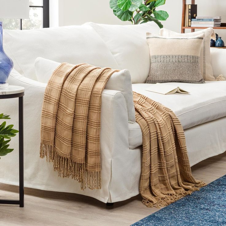 a living room with a white couch, blue rug and potted plant in the corner