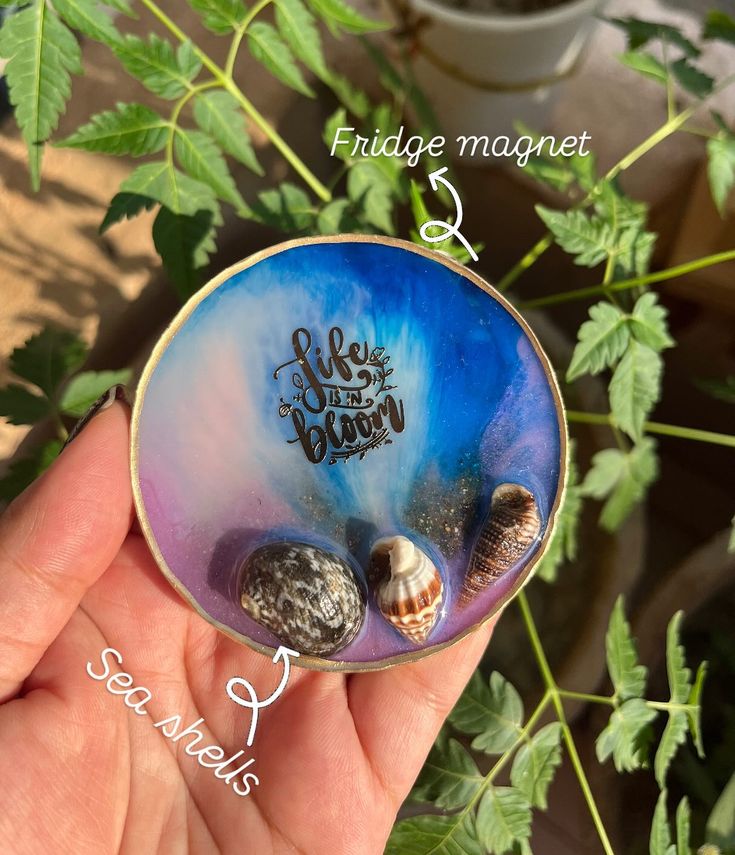 a hand holding a ring with seashells in it and the words life is better on it