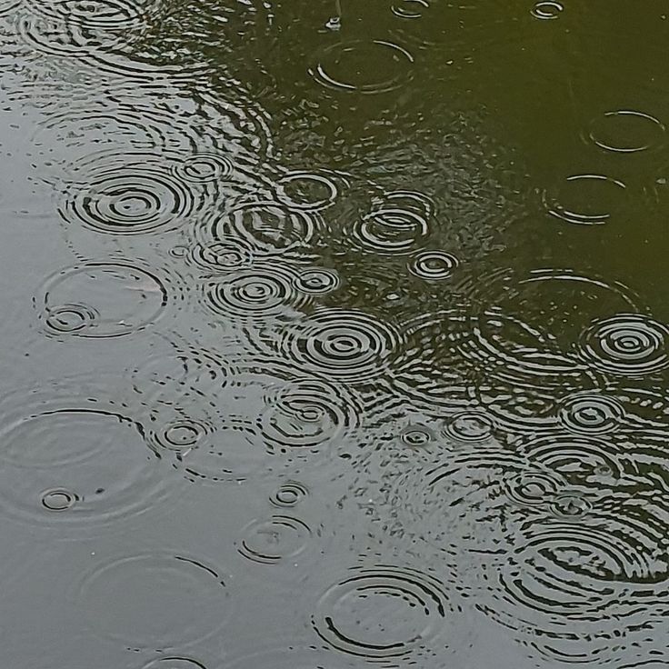 raindrops are falling on the surface of water