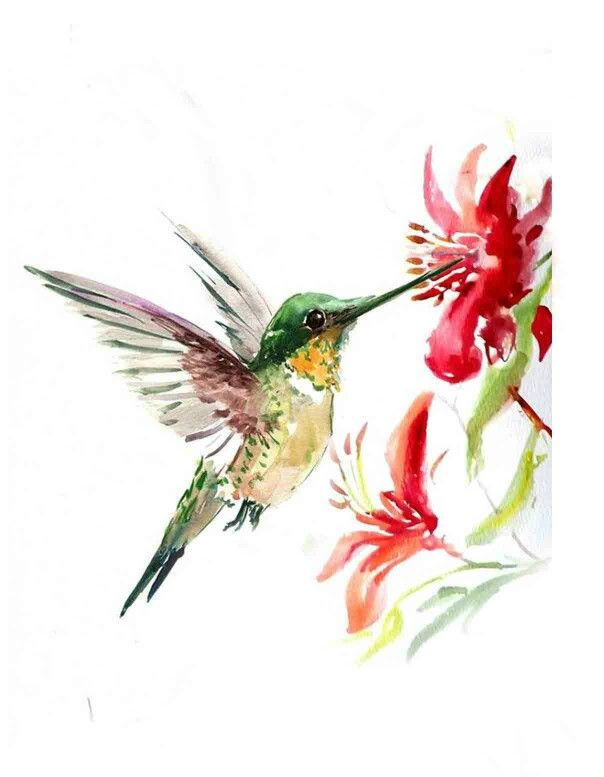 a watercolor painting of a hummingbird feeding from a flower with red flowers in the background