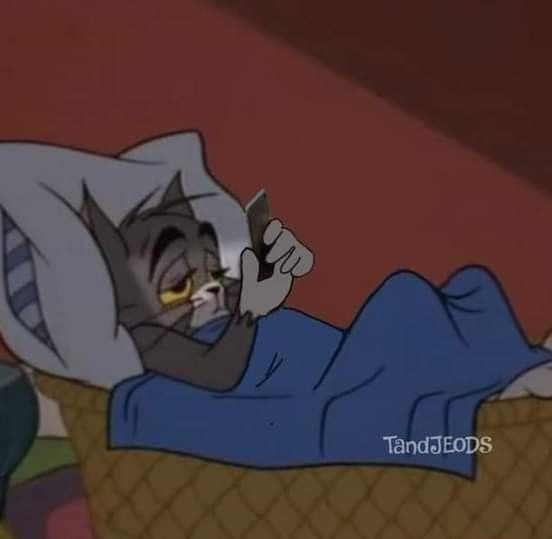 a cartoon cat laying on top of a bed