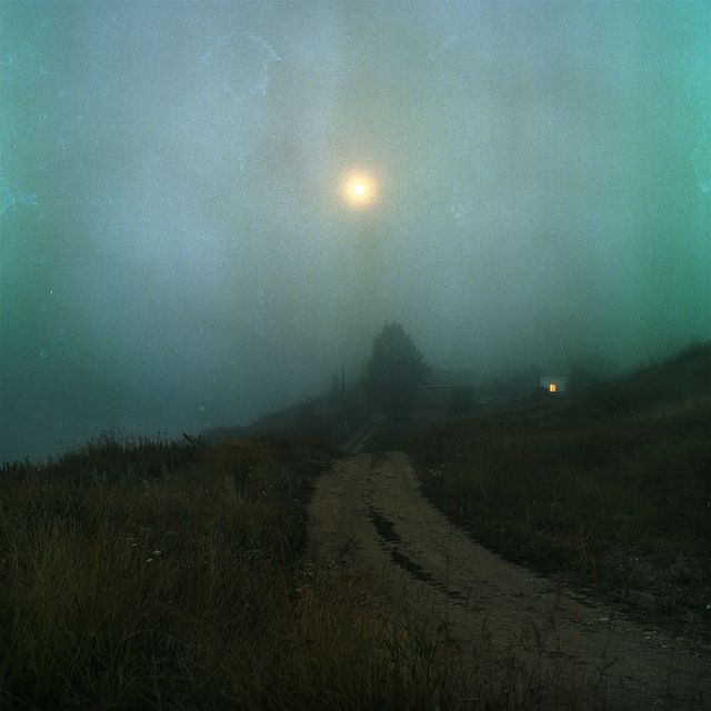 a dirt road in the middle of a foggy field