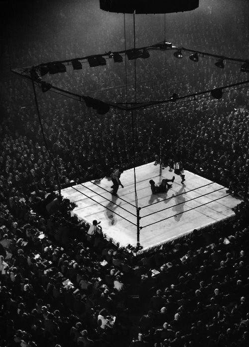 an aerial view of a boxing match in the middle of a crowd