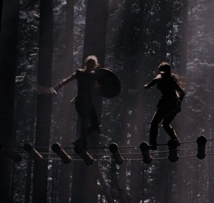 two people walking across a rope in the woods