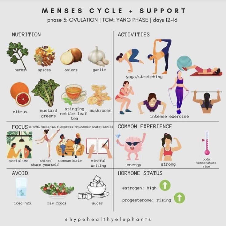 Hormone Nutrition, Cycling Food, Nutrition Activities, Fertility Health, Healthy Hormones, Menstrual Health, Feminine Health, Happy Hormones, Hormone Health