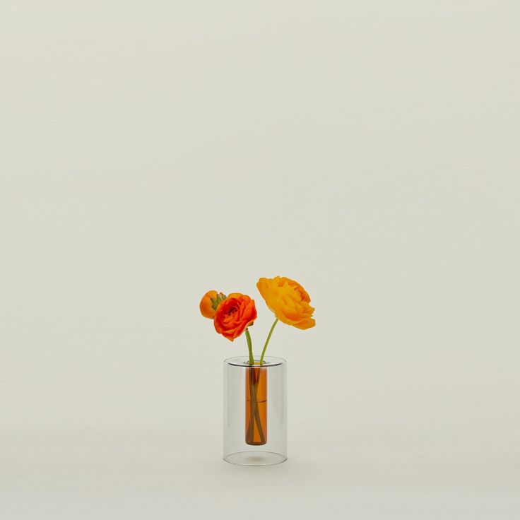 three orange flowers are in a clear vase