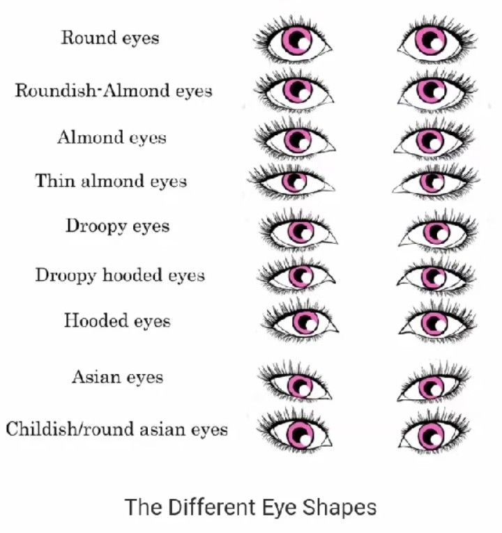 Shapes of eyes Eye Shape Chart, Different Types Of Eyes, Eye Color Chart, Shape Chart, Almond Shaped Eyes, Almond Eyes, Nose Shapes, Types Of Eyes, Eye Shapes