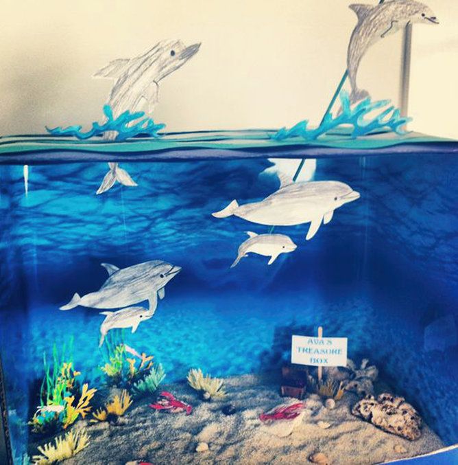 an aquarium filled with different types of fish