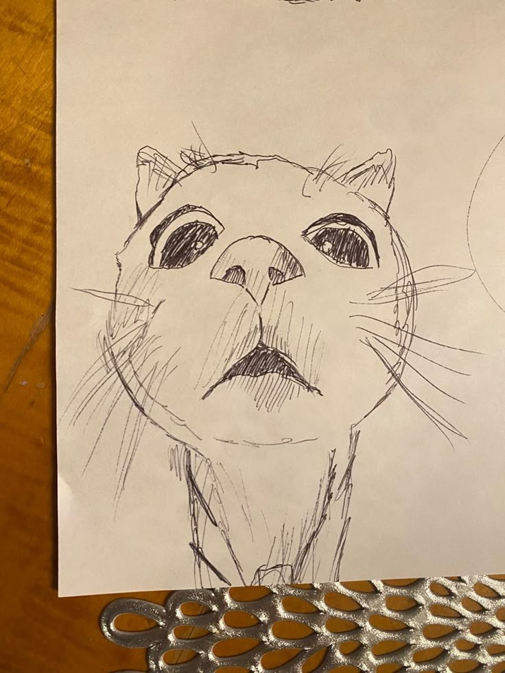 a drawing of a cat is shown on a piece of paper next to some scissors