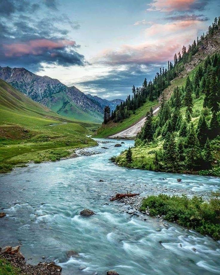 a river flowing through a lush green valley under a cloudy sky with mountains in the background