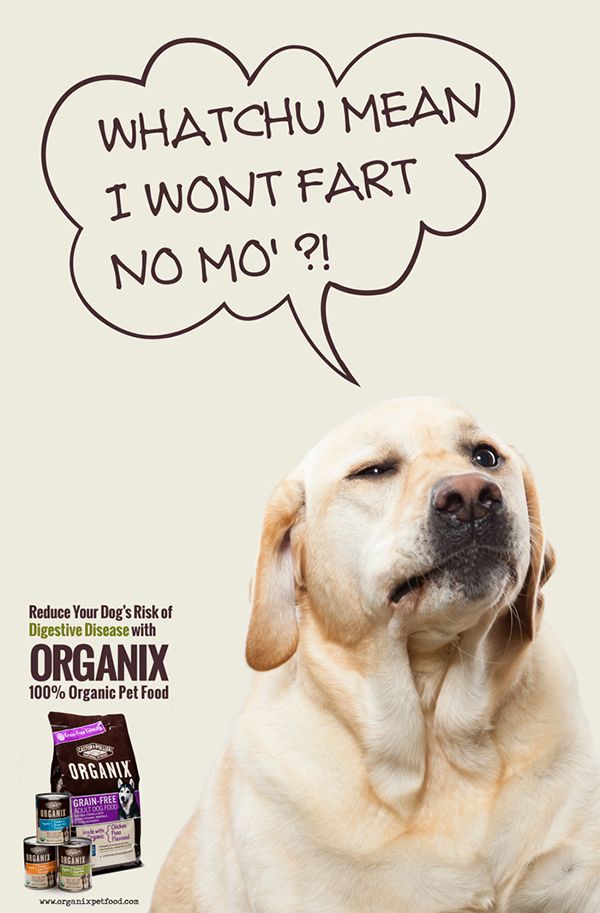 an ad for organix featuring a dog with its mouth open and thought bubble above it