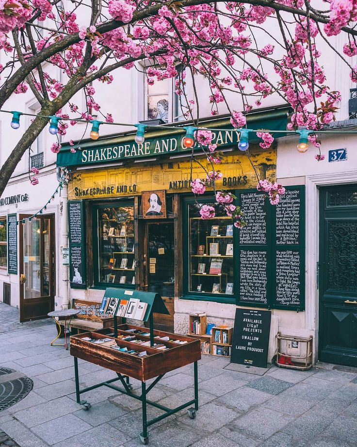 a book store with pink flowers on the tree