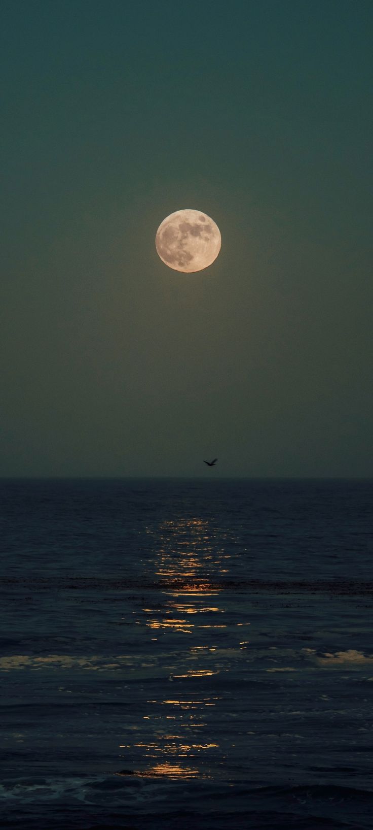 the moon is shining brightly over the ocean