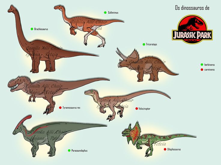 the dinosaurs are all different sizes and colors