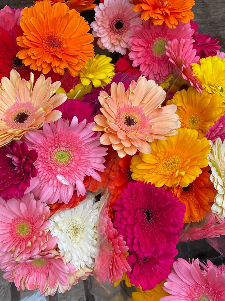 a bunch of colorful flowers in a vase