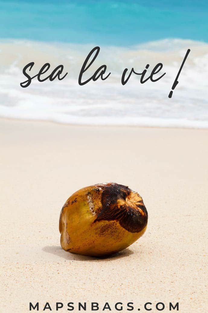 a coconut sitting on top of a sandy beach next to the ocean with text that reads, sea la vie