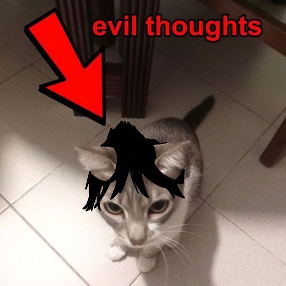 a cat with an evil head on it's head