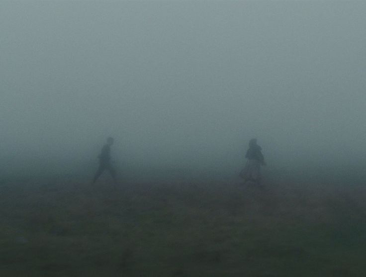 two people are walking through the foggy field