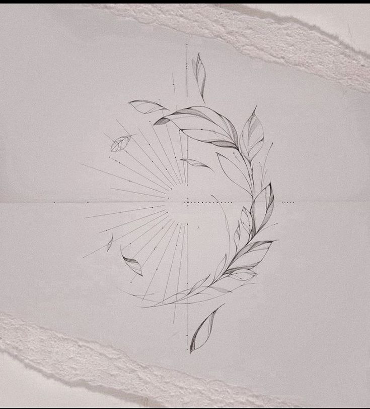 a drawing of a circle with leaves on it